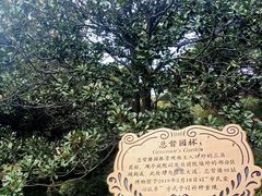 -青岛德国总督楼旧址博物馆