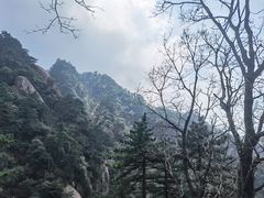 -九华山风景区