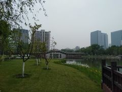 -西海子公园