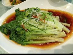 -正阳春烤鸭(华捷道店)