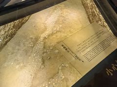 -长江文明馆