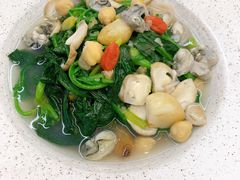 -木棉花开(中心城店)