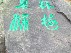 -香雪海