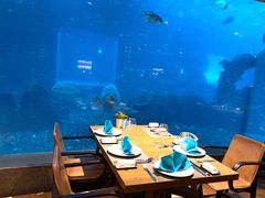 -涛·海底餐厅·美人鱼·自助餐·海底隧道(三亚海棠湾洲际度假酒店)
