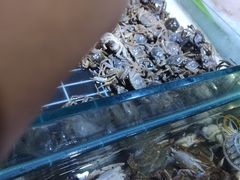 -聚盛源蒸汽海鲜火锅烤肉自助(巨川金海岸购物广场店)