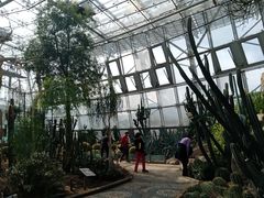 -北京植物园-展览温室