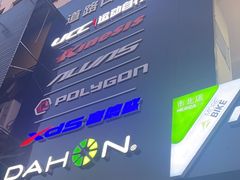 -道路口单车爱瓦士dahon大行