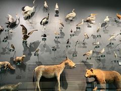 -中国湿地博物馆