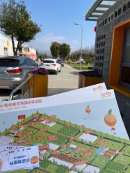 点击看大图 -前小桔亲子创意农场·草莓采摘·露营烧烤