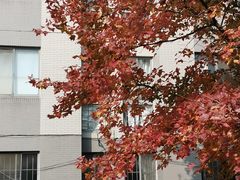 -江南大学-第一食堂(江南苑)