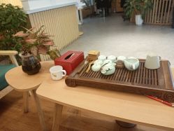 -章光101防脱养发荟