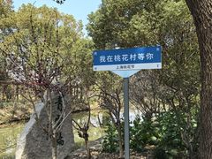 -南汇桃花村