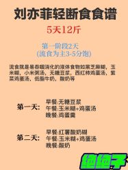 -CICI纤美·科技纤体美颜