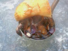 -凯华海鲜火锅·传承三十六年