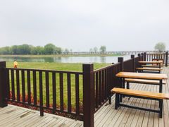 -太湖湖滨国家湿地公园-停车场