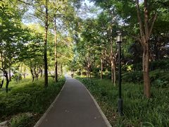 -黄兴公园