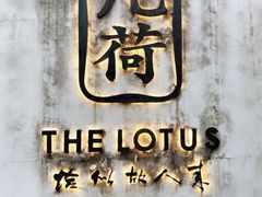 -几荷·恰似故人来(秀水广场店)