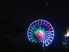 -花博汇(知音花月夜)