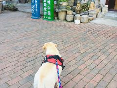 -大理床单厂艺术区