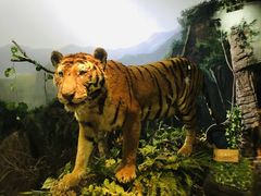 -陕西自然博物馆