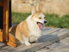 -北京山里寒舍度假酒店