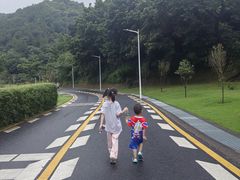 -黄埔油麻山森林公园
