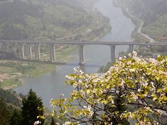 -舒家湾天主教堂