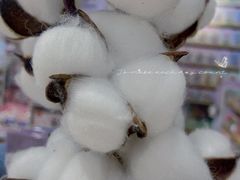 -北京华联购物中心(天通苑店)