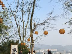 -伴山茶苑·围炉煮茶