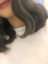 点击看大图 -金棕榈