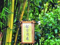 -橘子洲景区
