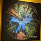 成都展览ㄧ国家地理经典摄影大展–西南首展