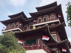 -新加坡佛牙寺龙华院