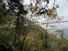 -藏龙百瀑风景区