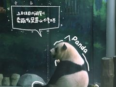 -五龙山野生动物王国