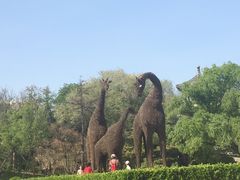 -莲花池公园