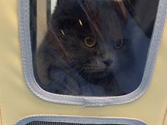 -博特宠物医院24h犬猫全科.骨科·异宠