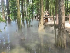 -东湖落雁景区