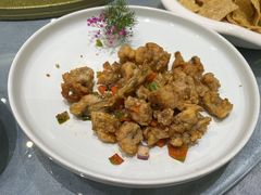 -丁老爷子苏香圆
