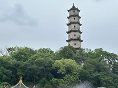 -江心屿景区