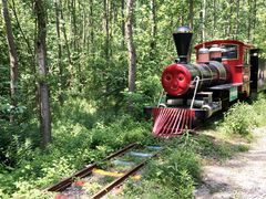 -合肥滨湖国家森林公园