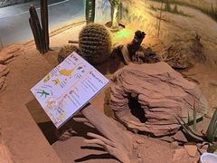 -正佳雨林生态植物园