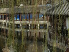 -团结湖公园