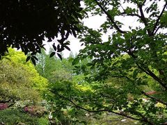 -杭州植物园