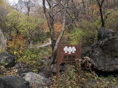 -灵山