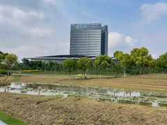 -春花秋色城市公园