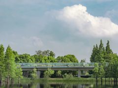 -白鹭湾湿地公园
