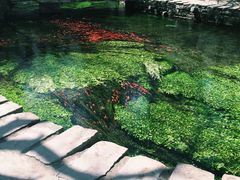 -水磨沟公园