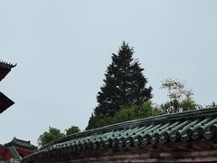 -武当山风景区-太子坡
