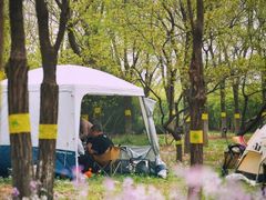 -永定河休闲森林公园